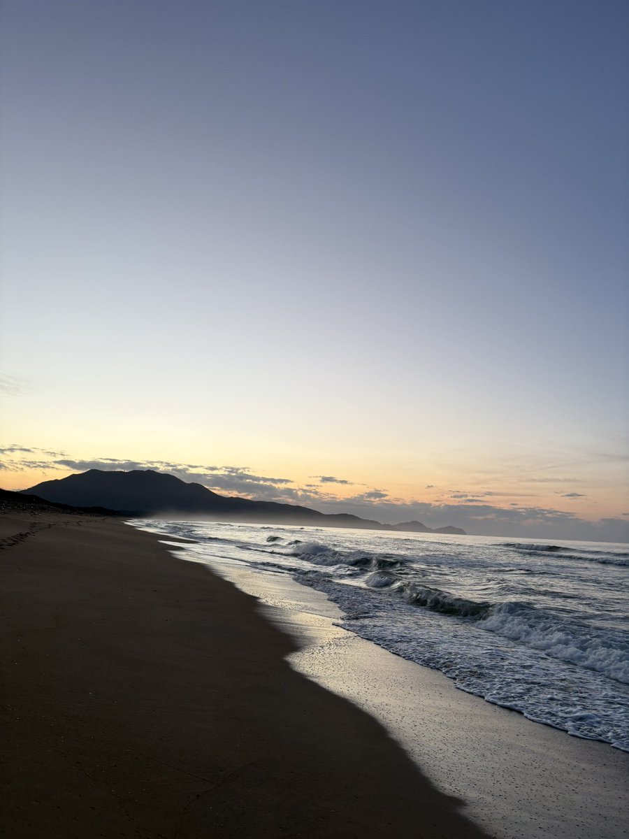 noBite_angler's tweet photo. 人生初サーフは坊主に終わりました🧑‍🦲

#シーバス https://t.co/DIND26DdGb