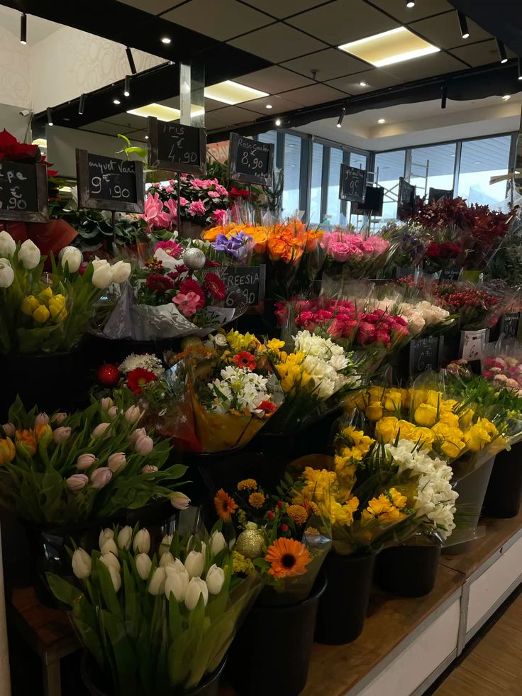 𝓣𝓱𝓮𝓑𝓵𝓸𝓼𝓼𝓸𝓶𝓢𝓽𝓾𝓭𝓲𝓸 (@phollukidukaan) on Twitter photo 