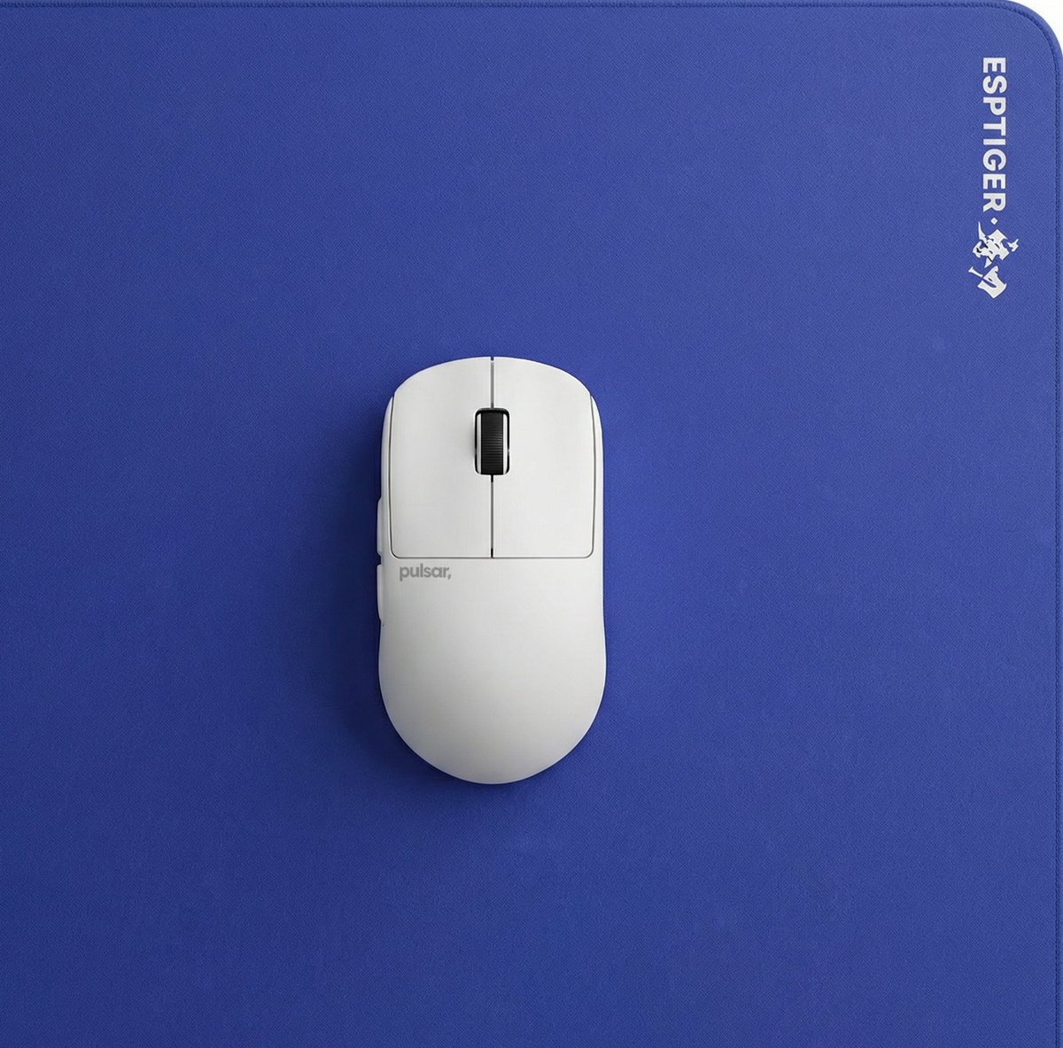 LYON SUPERKESS tweet media