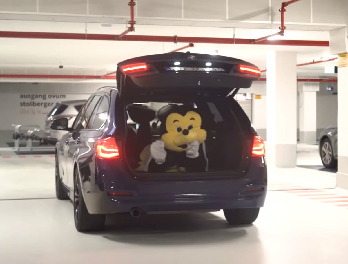 🐝 Golden Hornets 🐝 tweet media