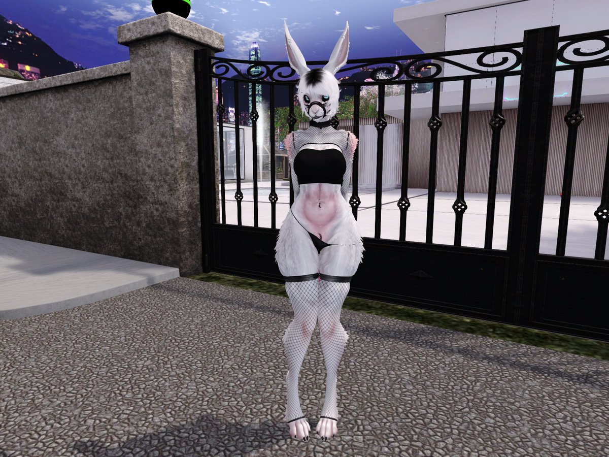 Lunacy Dren (@kiidashia) on Twitter photo 