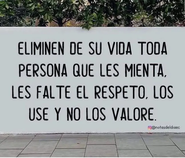 Más Ciencia tweet media