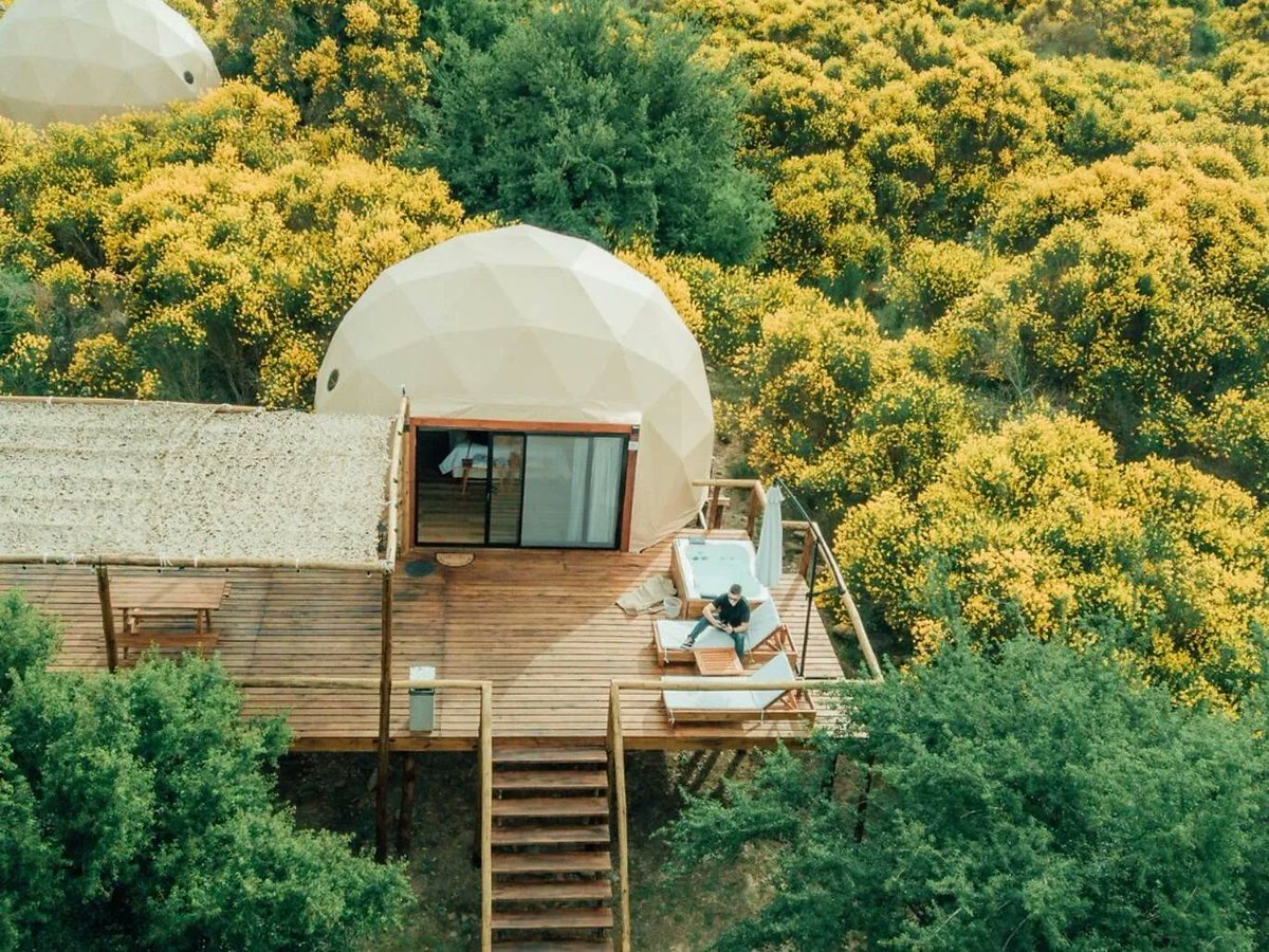 Estoy organizando el primer glamping anti-capitalista. Info por privado.