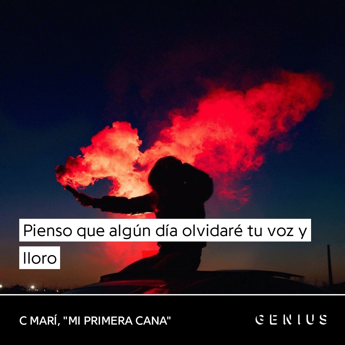 LLL (@lamaslia) on Twitter photo 