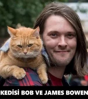 Seyri_Galata's tweet image. #Bob  Bir Sokak Kedisi sarman 14 yaşında hayata veda etti.2007 yılında uyuşturucu bağımlılığından kurtulmaya çabalayan James Bowen bir gün yaralı halde karşılaştığı bu terkedilmiş kediyi dost edindi.Kitabı olan sinemaya da uyarlanan beni ağlatan Bob.Seninde günün kutlu olsun 😔❤️