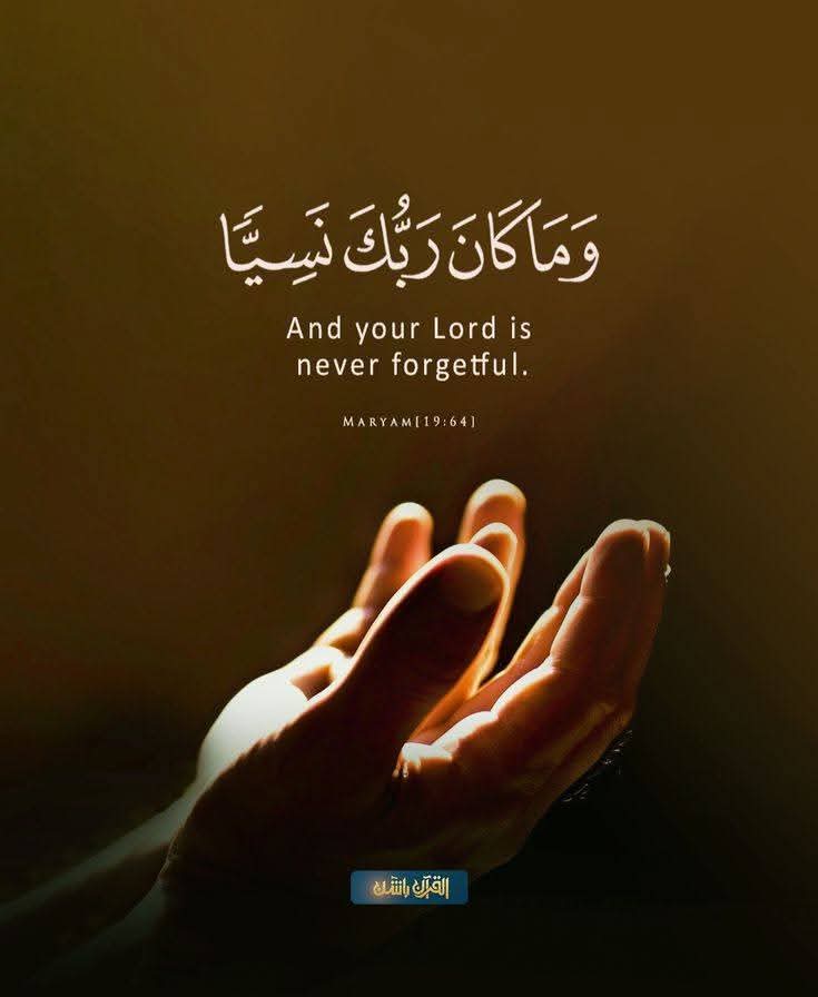 Jidda5's tweet image. Verse of the day💐🤎🥰🤩