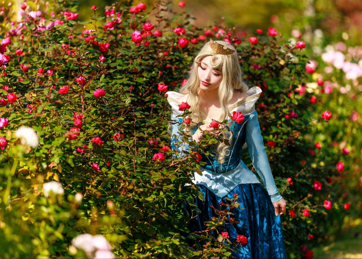 もちこ tweet media