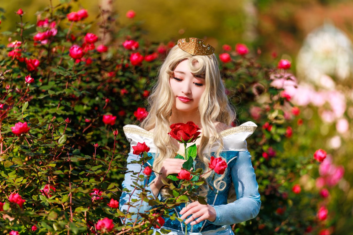 もちこ tweet media