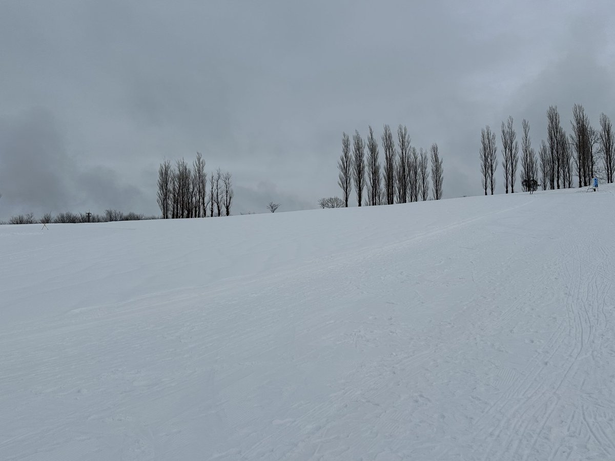 撮影で雪国に行ってきました。これだけ積もっていると雪の深いところはまったく歩けない。通れるということは誰かが除雪してくれているということ。ありがたい。
