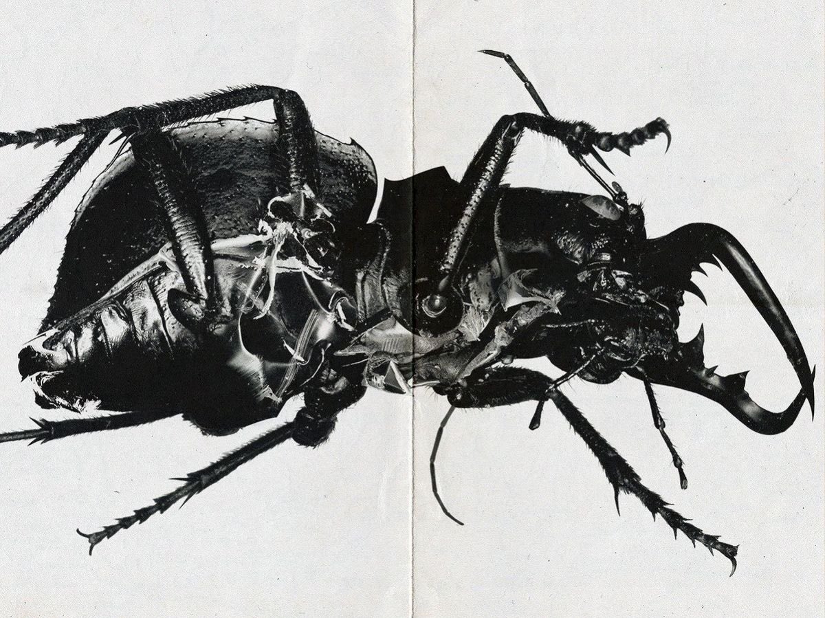 amalgamatomaton (@amalgamatomaton) on Twitter photo 