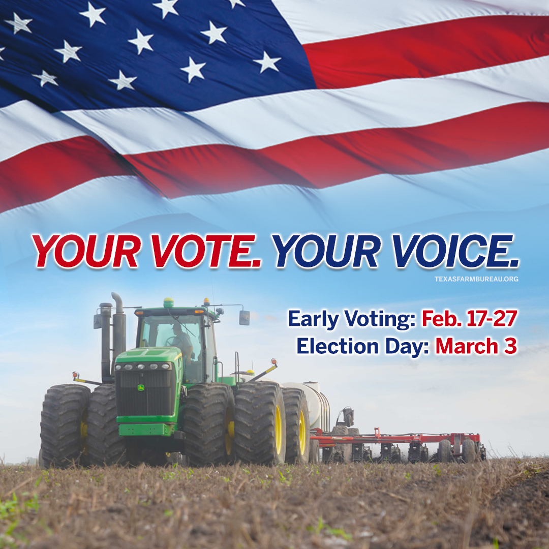 TexasFarmBureau's tweet photo. Your vote. Your voice. Early voting runs through Friday, Feb. 27. Election Day is March 3. #iFarmiVote https://t.co/OxbBr1uG1h