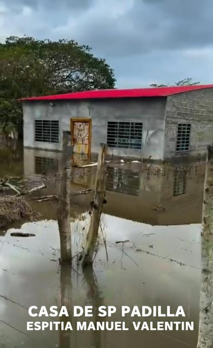 Fundación Comité Reconciliación ONG tweet media