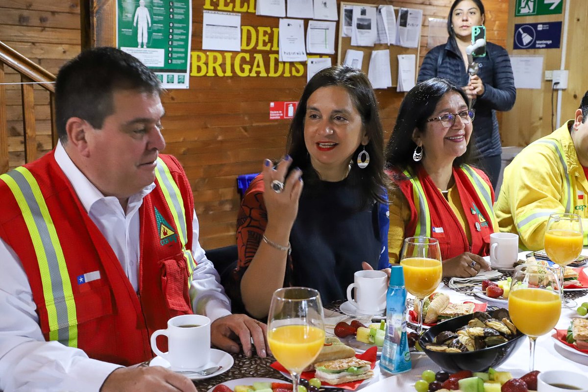 MinagriCL's tweet photo. 👩‍🚒👨‍🚒 En el marco de la Conmemoración del Día de las y los brigadistas forestales – que se realiza cada 15 de febrero – la ministra Ignacia Fernández junto al delegado de @DPRLaAraucania, Eduardo Abdala, seremi @MinagriAraucan y @conaf_minagri, entregaron un reconocimiento a brigadistas de la región de La Araucanía, destacando su compromiso en la prevención y combate de incendios forestales.
