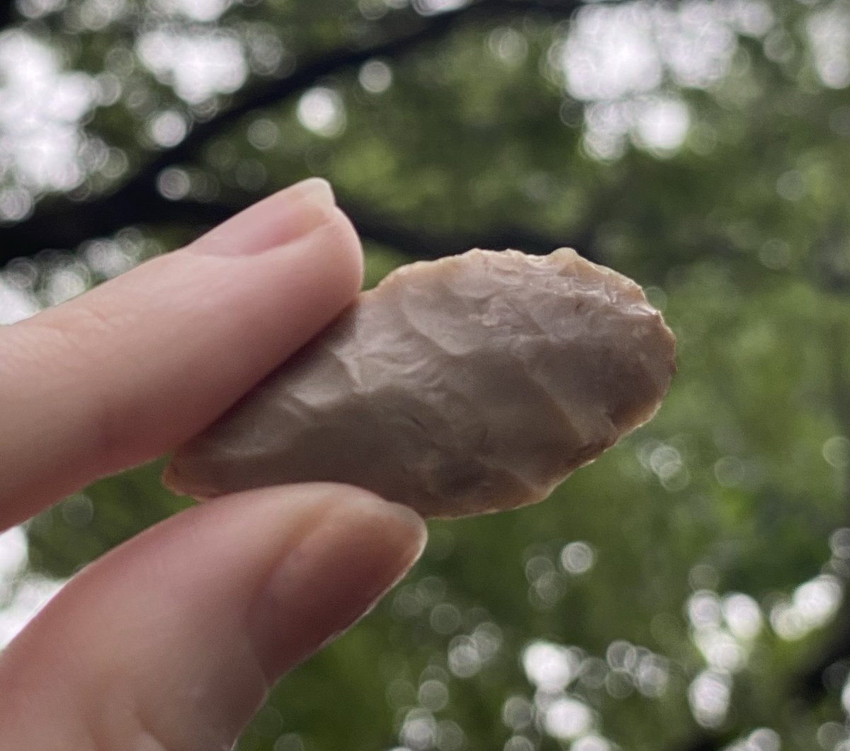 I believe this to be a bi-point dart point, a prehistoric projectile used with an atlatl (spear-thrower) before the adoption of the bow and arrow in Texas. Bi-points are part of the unstemmed point tradition of the South Texas Plains, characterized by symmetrical, leaf-shaped