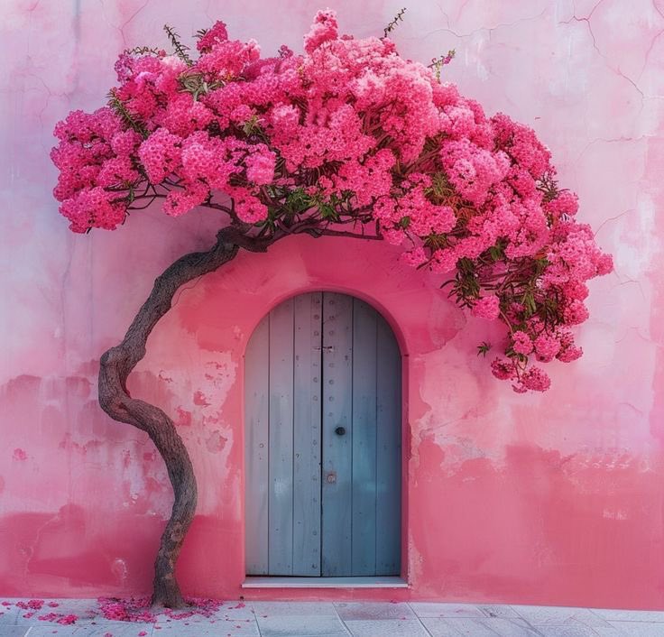Ne başka kapıların baharları
Ne başka yatakların ayıpları

Oysa ben sadece
‘ kalbime benzeyen’
 bir adam dilemiştim…

Yasemin Canan
