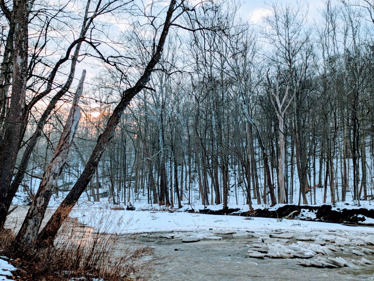 Brad_Nellis's tweet photo. Early morning sun over Chippewa Creek in @clevemetroparks today #ThisIsCleveland https://t.co/9hrJohBvXo