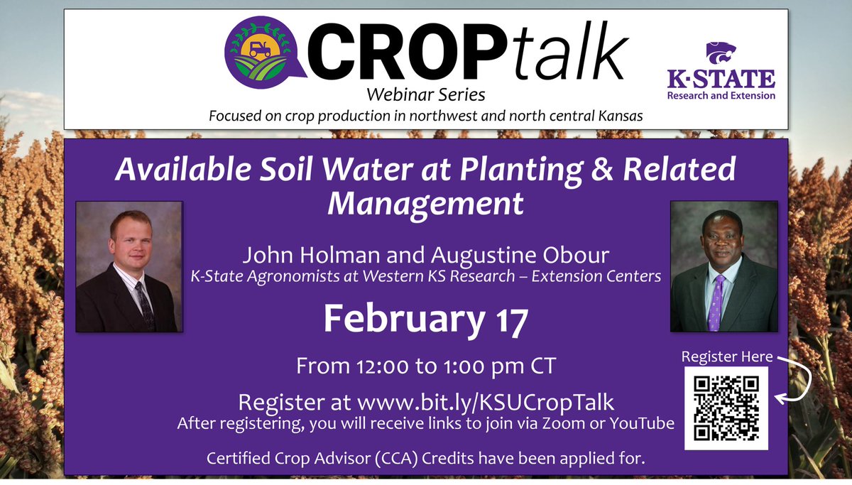 Stacy Campbell tweet media