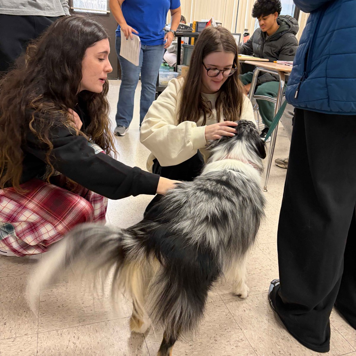 LUFSD_Libraries's tweet image. Ash the therapy dog is making rounds throughout the High School to provide comfort and spread joy to students and staff as they go about their school day. @LindenhurstUFSD #LUFSD