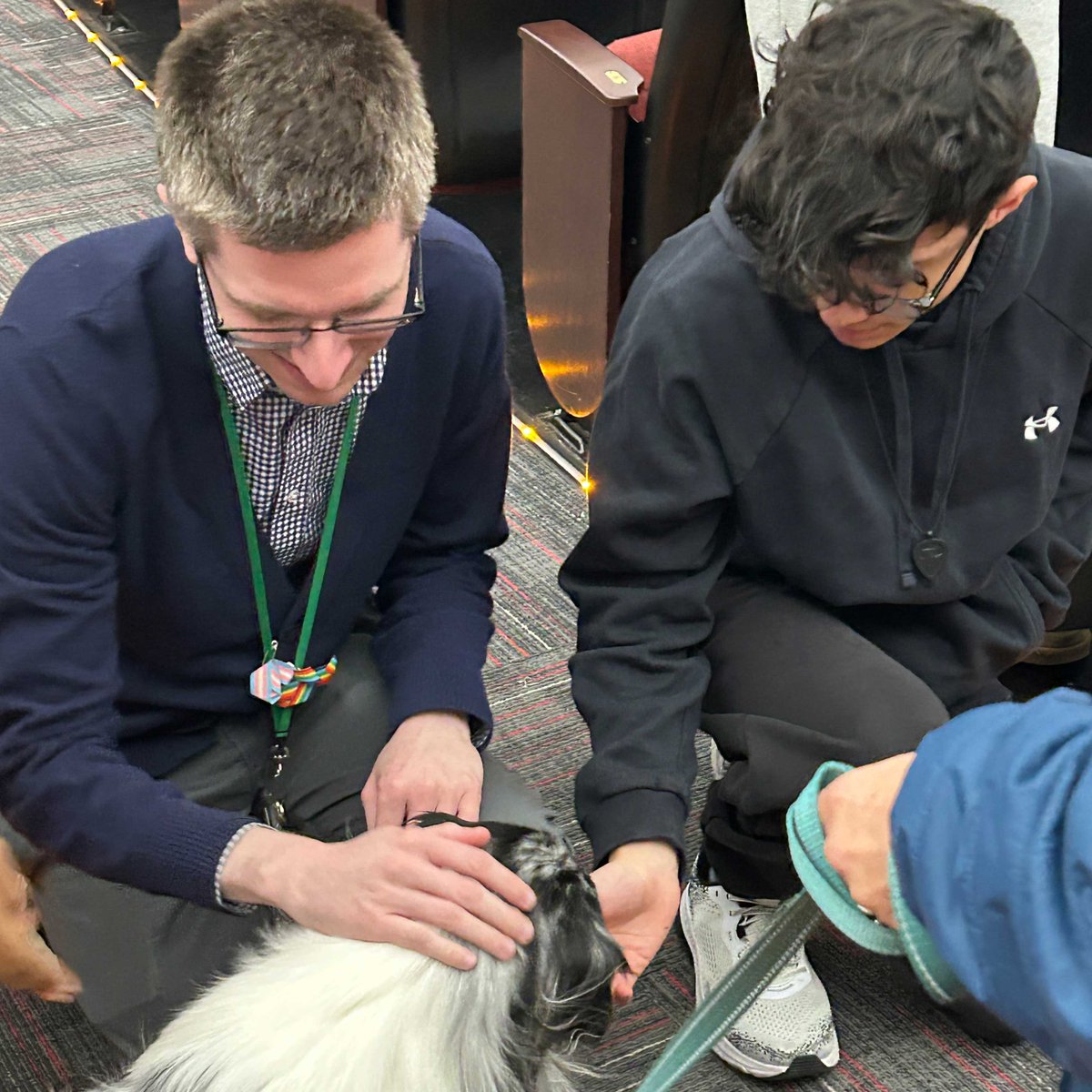 LUFSD_Libraries's tweet image. Ash the therapy dog is making rounds throughout the High School to provide comfort and spread joy to students and staff as they go about their school day. @LindenhurstUFSD #LUFSD
