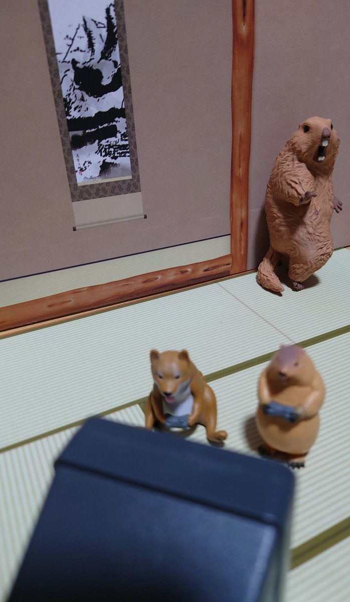 あんたら
もうゲームやめときや！！
ほんまにー外行き！外！