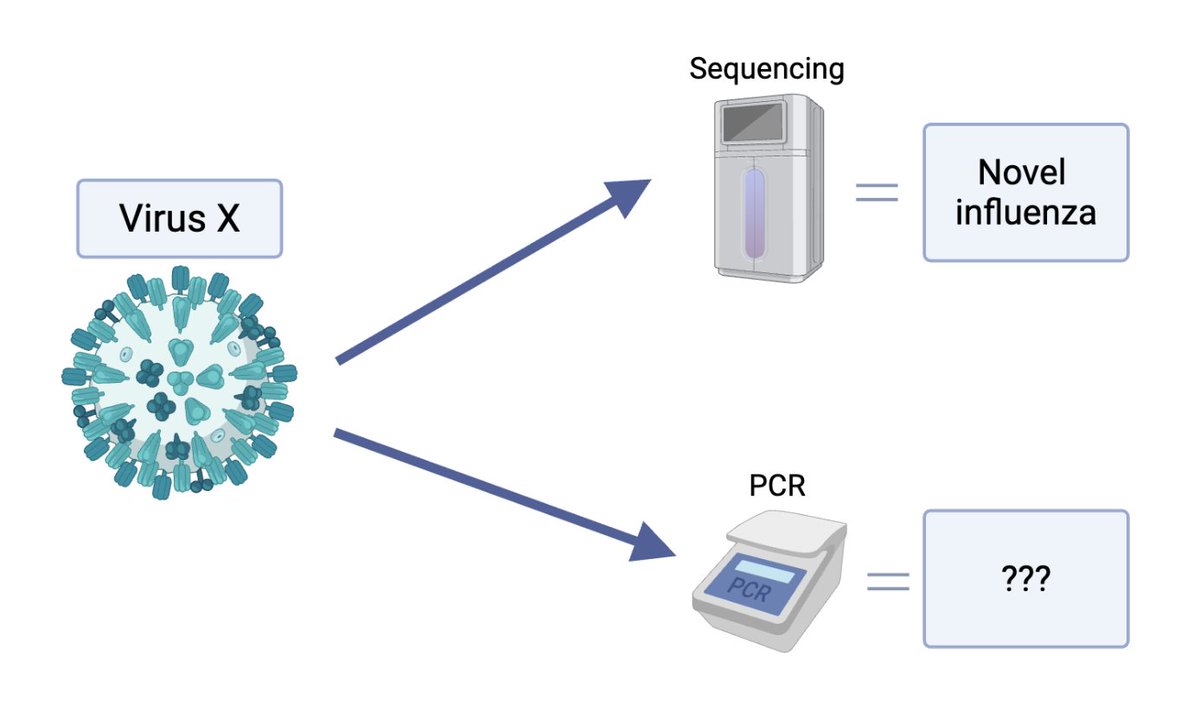 SecureBio tweet media