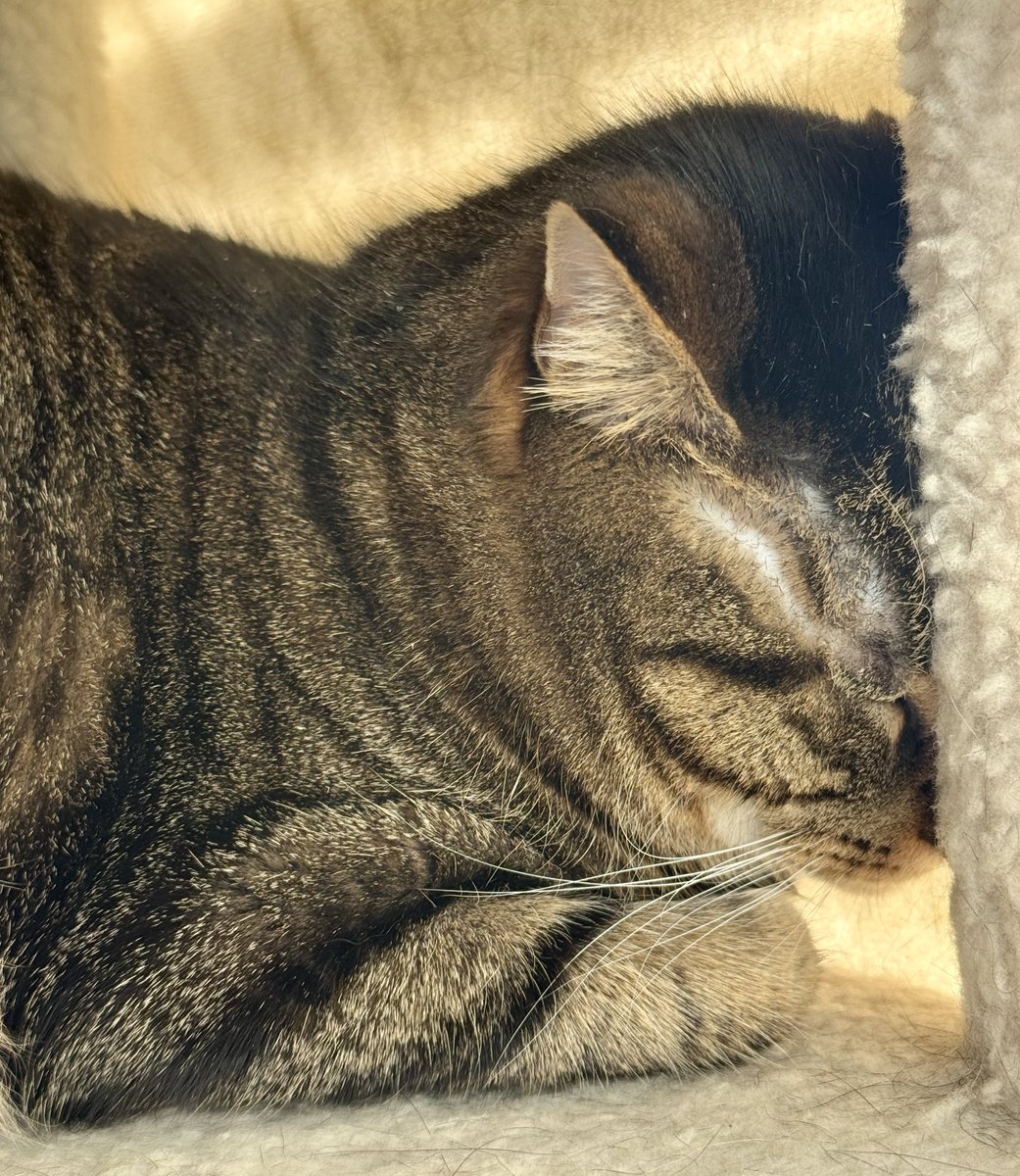 The Mondayest Tuesday ever.