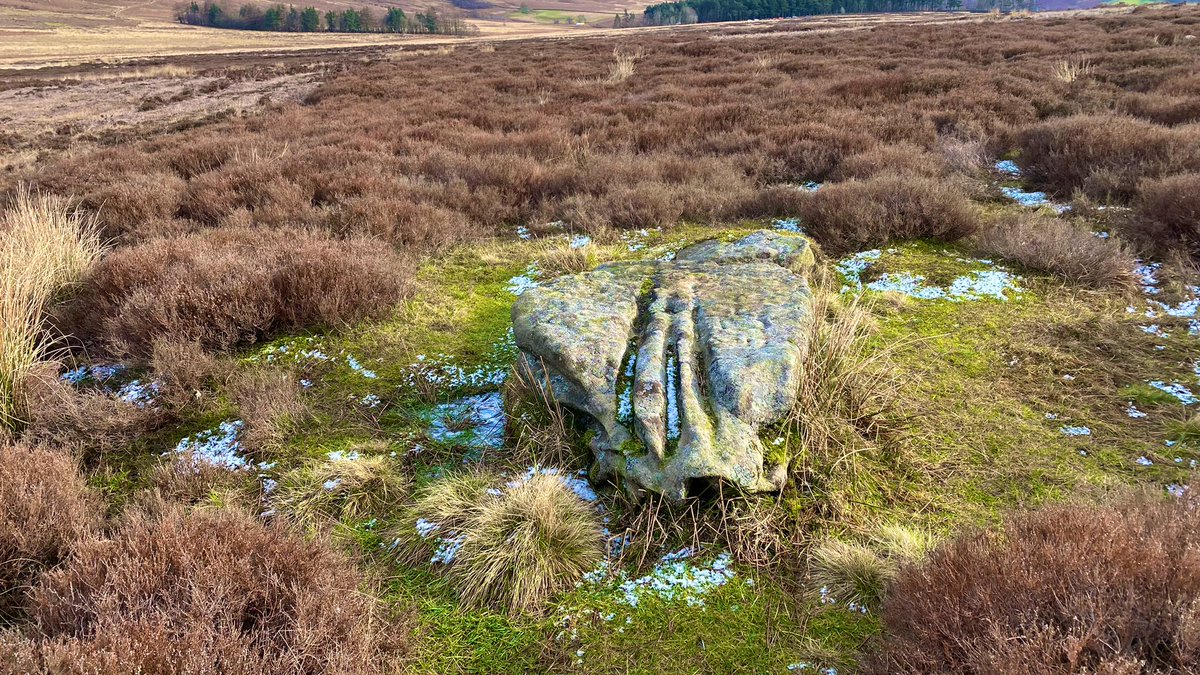 _davelee's tweet photo. Lunch with a view.
Bamford moor embanked stone circle ⭕️ #PeakDistrict 
Ring is 8m by 7m in diameter. There are 8 large stones on site, but only 6 forming part of the circle.
#StandingStoneSunday https://t.co/mLvXAwnaBA