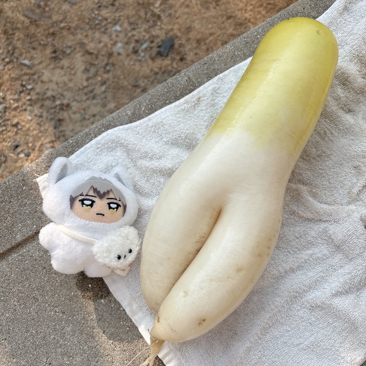 「…じ、じぶん寒ないか？」

照れながらも紳士な対応しててさすがでした　
パンツはかしたってくれと小声で頼まれました