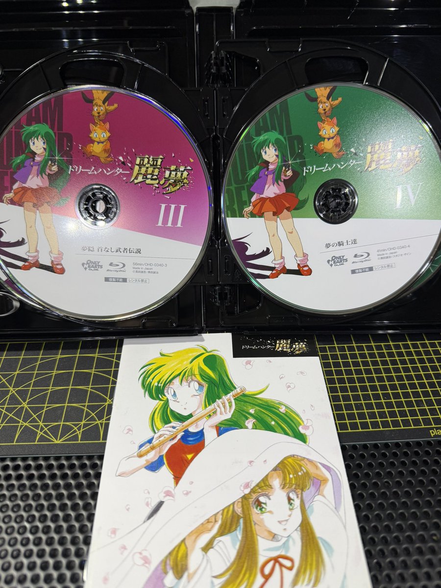 ヾ(๑╹◡╹)ﾉ