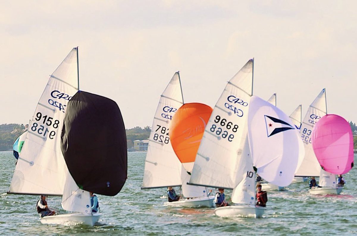 DiscoverMartin tweet media