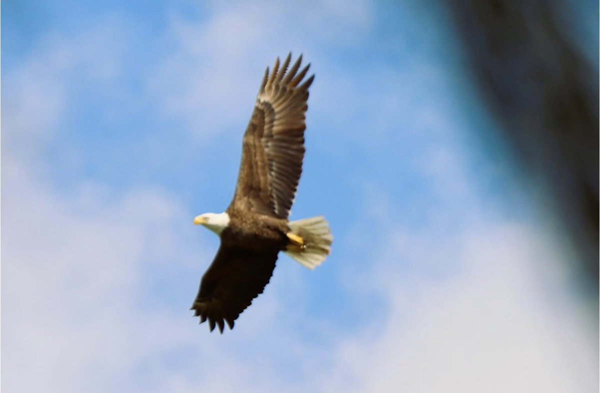 DiscoverMartin tweet media