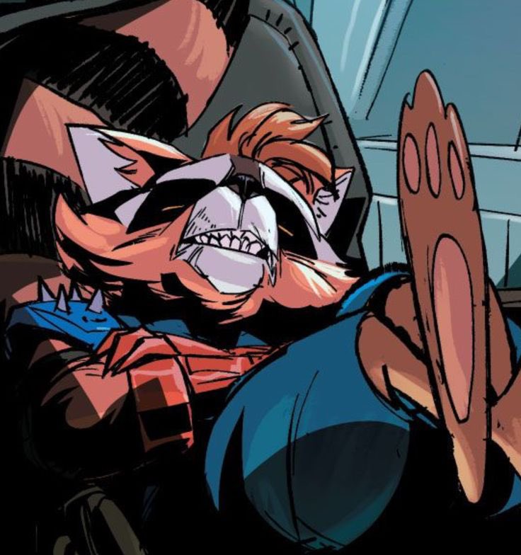 🚀RocketSpeed⚡️ tweet media