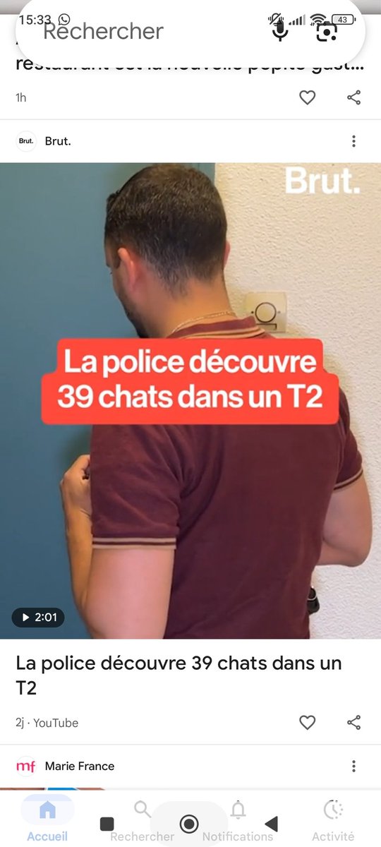 François Moreau tweet media