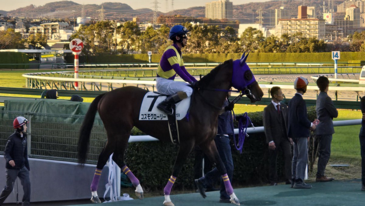 Nick Small 🇨🇦 tweet media