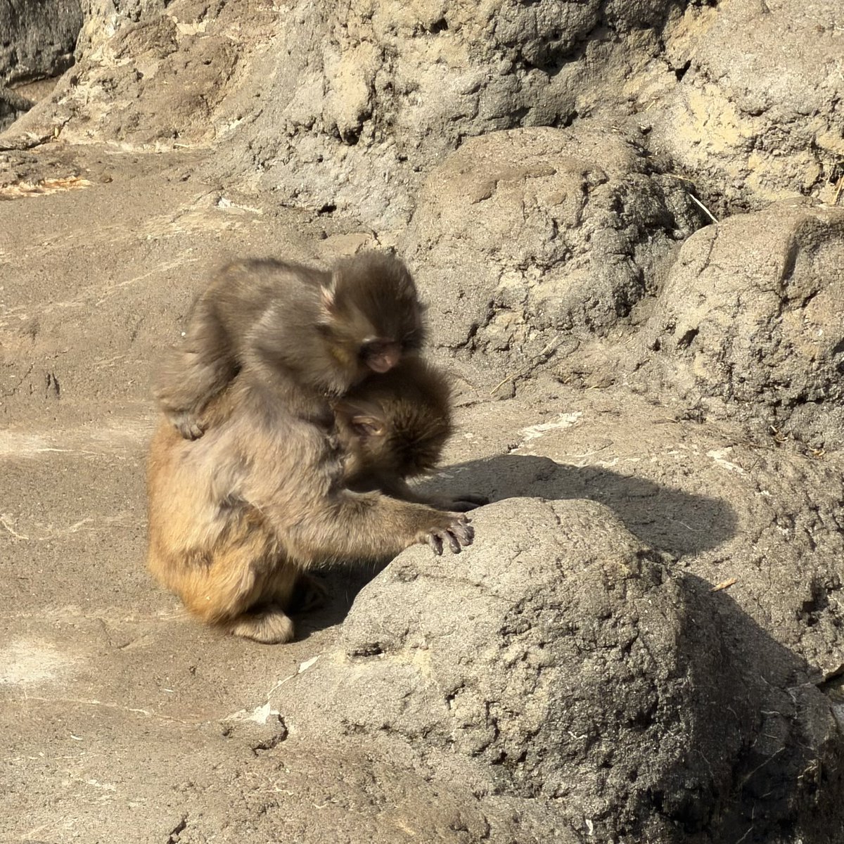 Moe 過小評価やろ〜 CA: AEtWwKRUfvgyMVDWLvNYgeTiVAC1YfRujmyssrG6pump