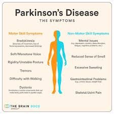 prashantakerkar's tweet photo. Parkinson disease vaccine design and construction.

https://t.co/O2HgBTgpGk

Summary: Chemical structure modification in 
alpha-synuclein assist in Designing and constructing Parkinson disease vaccine. https://t.co/8kiTYa8mW3
