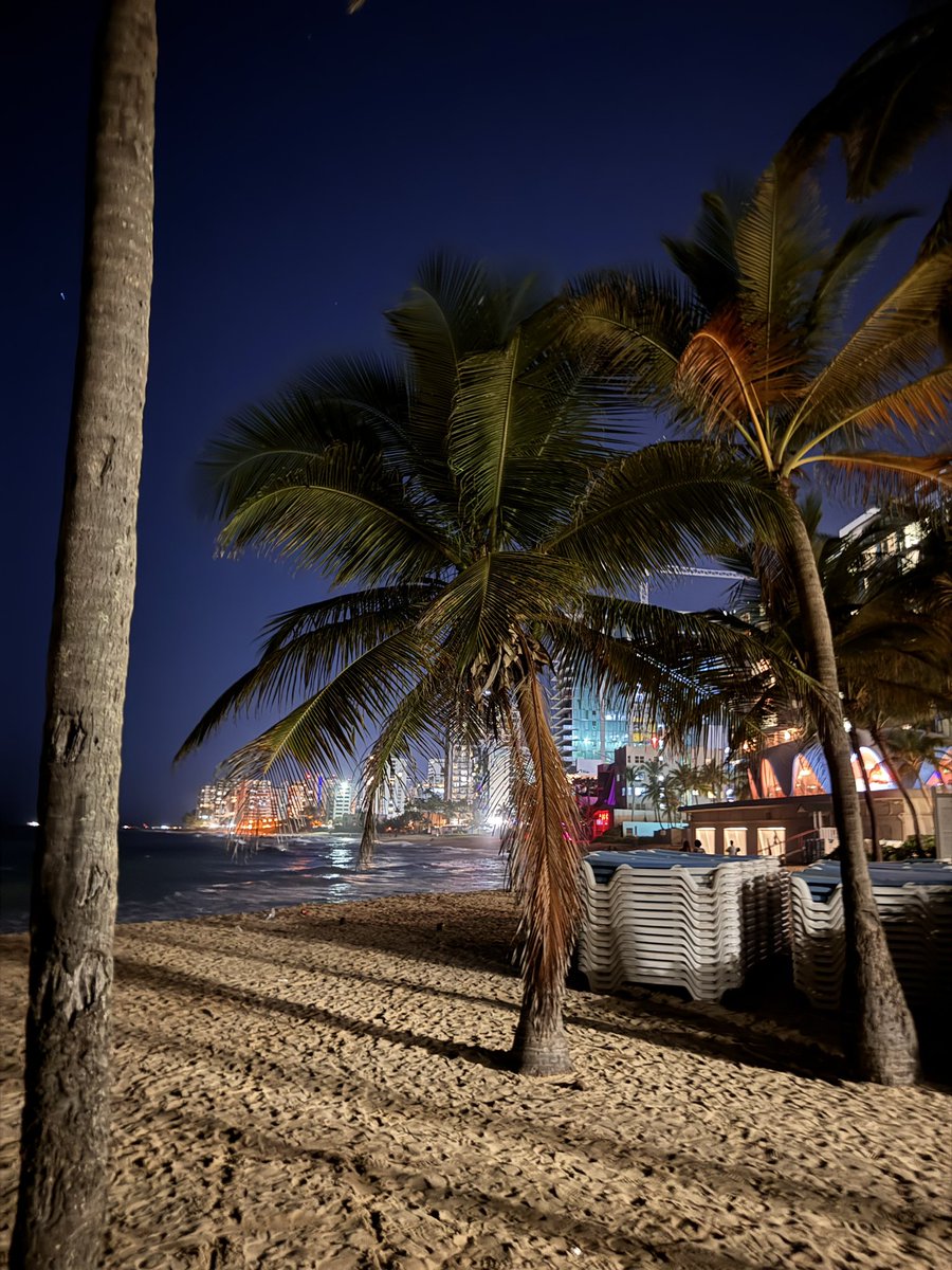 rhodahijazi's tweet image. Arrived to beautiful San Juan for my last PM&amp;amp;R conference as a med student 🥹🤞💛💚 #AAP #AAPMSC
#Timeisflying