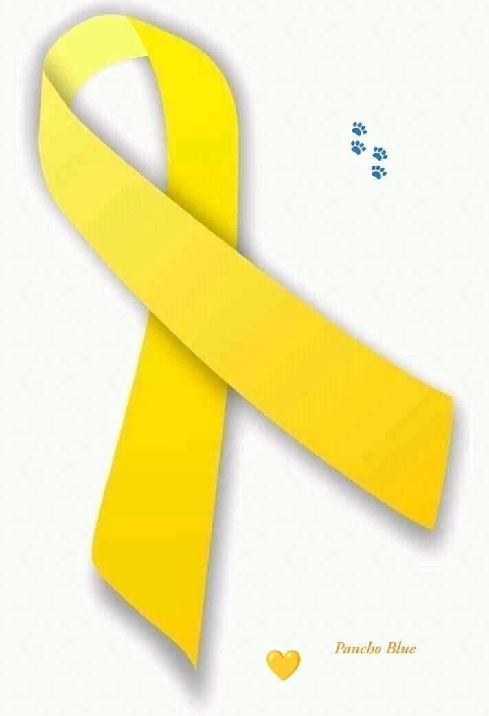 Yo soy liston amarillo 💛🎗️
Los animales NO se maltratan, NO se golpean ni mucho menos se les quita la vida. 🐾💛
RESPETA LA VIDA de los animalitos. 💛🎗️