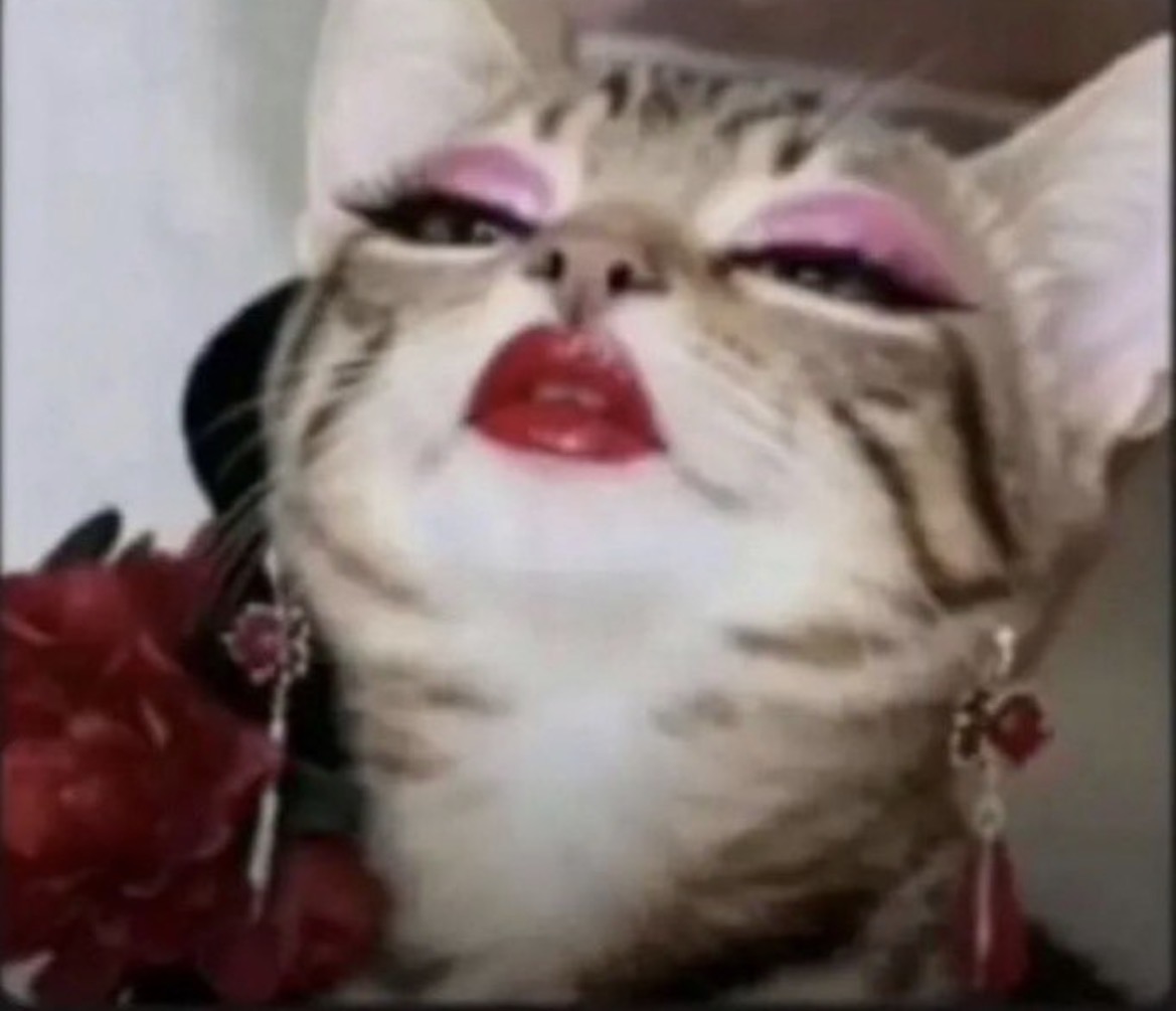 I prefer my programme… invariant