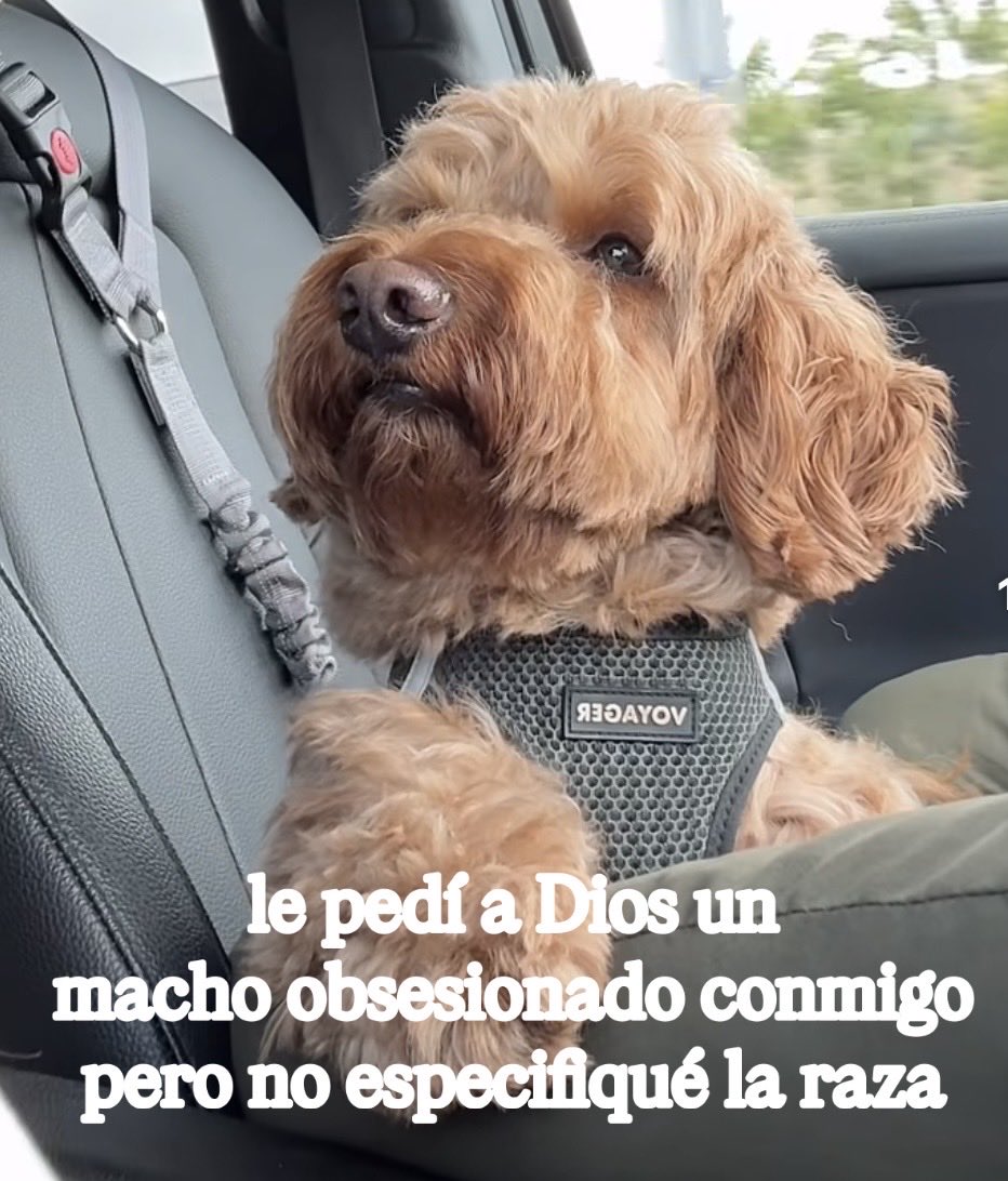 Hay que tener más cuidado que nunca #KornoTherian