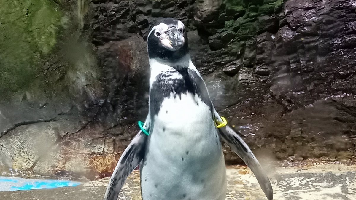 睦月 (@mutsuki__0723) / Posts / X