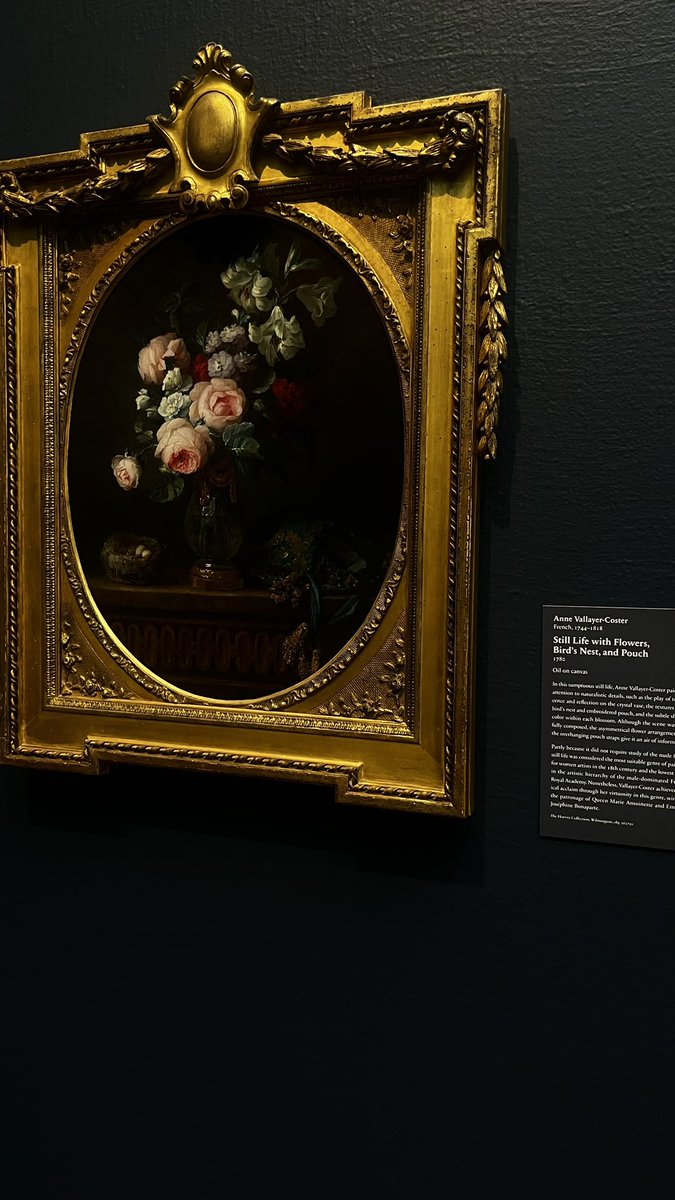 ݁˖ ݁˚⊹ tweet media