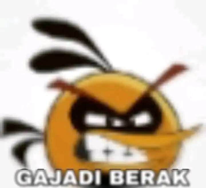 ocen tweet media