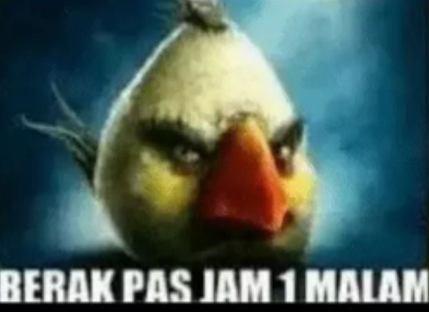 ocen tweet media