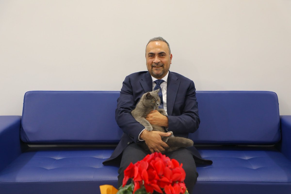 profdraakkaya's tweet photo. 17 Şubat Dünya Kediler Günü 🐈 https://t.co/W3VuEkVJKP