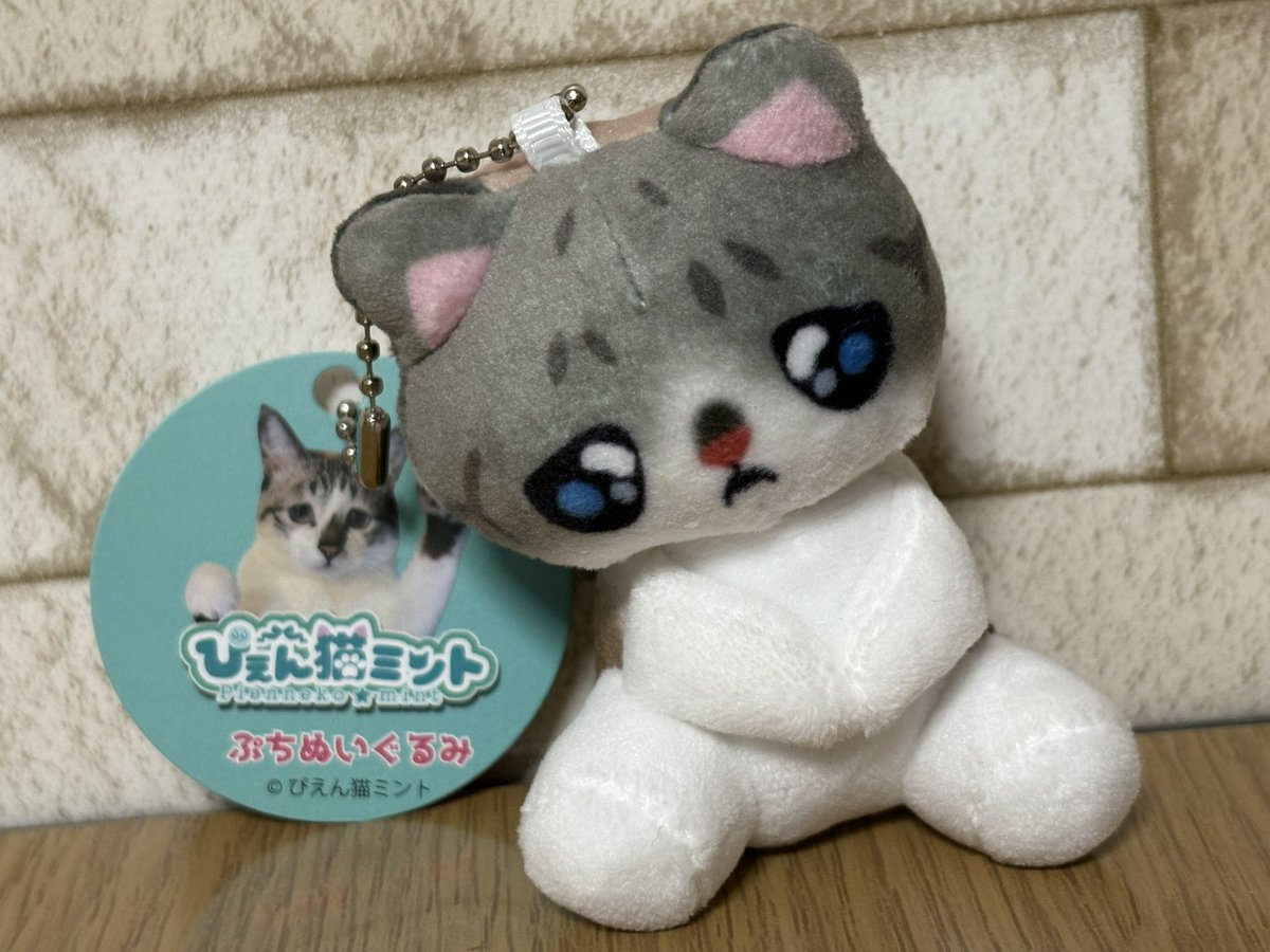 ぴえん猫ミント (@piennekomint) / Posts and Replies / X