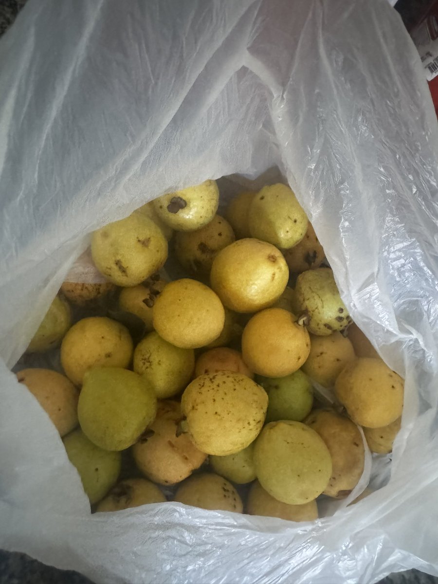 Debinvest tweet media