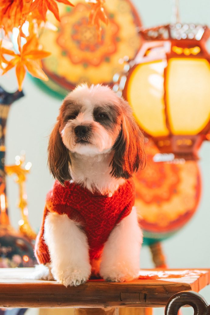 ม้านเลี้ยงลุกให้เหมือนตัวเองมากเรยอะ เร้กจุง555555555555555