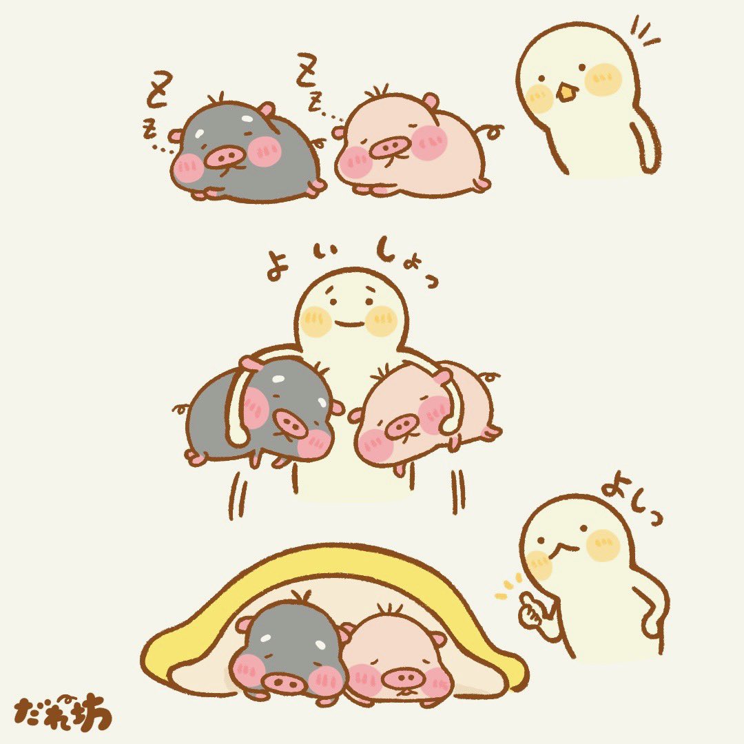 あんこ⭐️🐖 (@xuu1v8is0325) / Posts / X