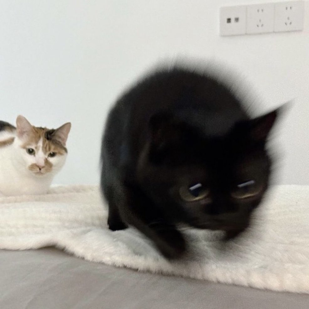 Martinnie19's tweet image. มาทิ่น !!